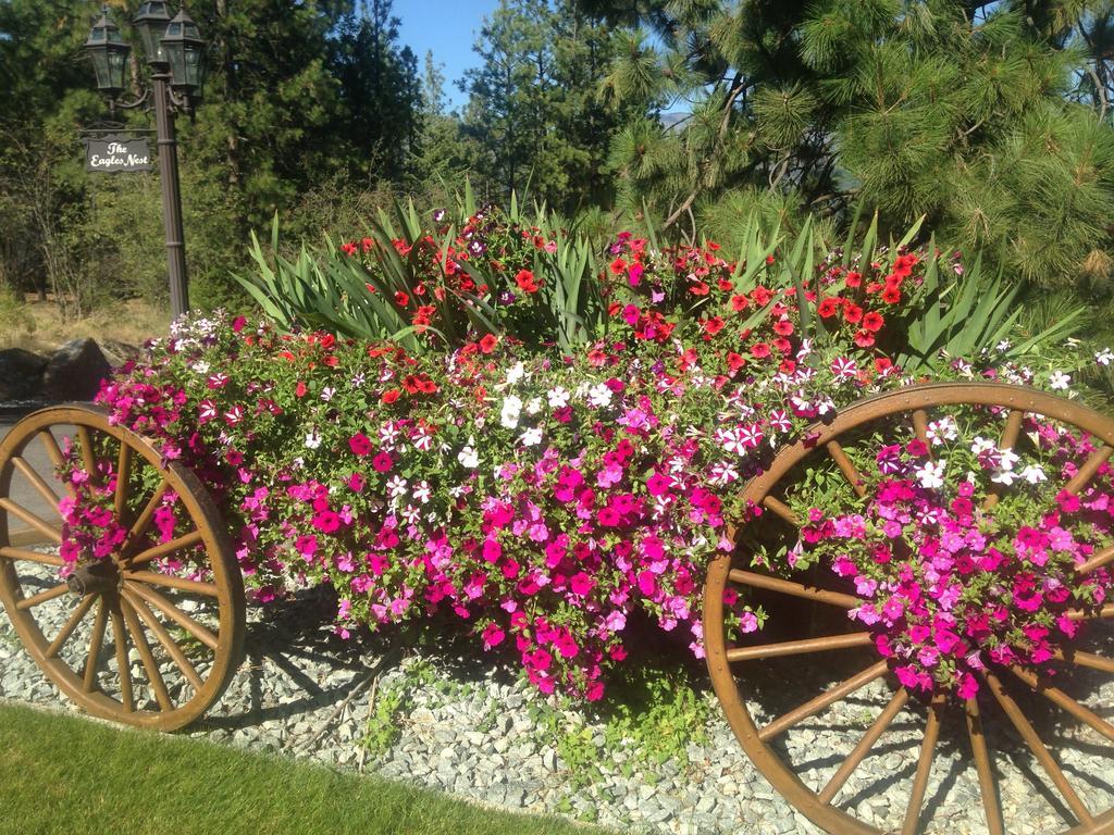 Eagle'S Nest B&B Lake Country Экстерьер фото