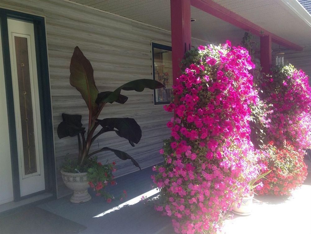 Eagle'S Nest B&B Lake Country Экстерьер фото